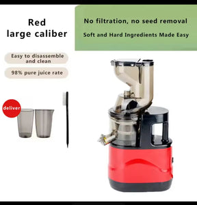 Extracteur de Jus de Fruits et Légumes