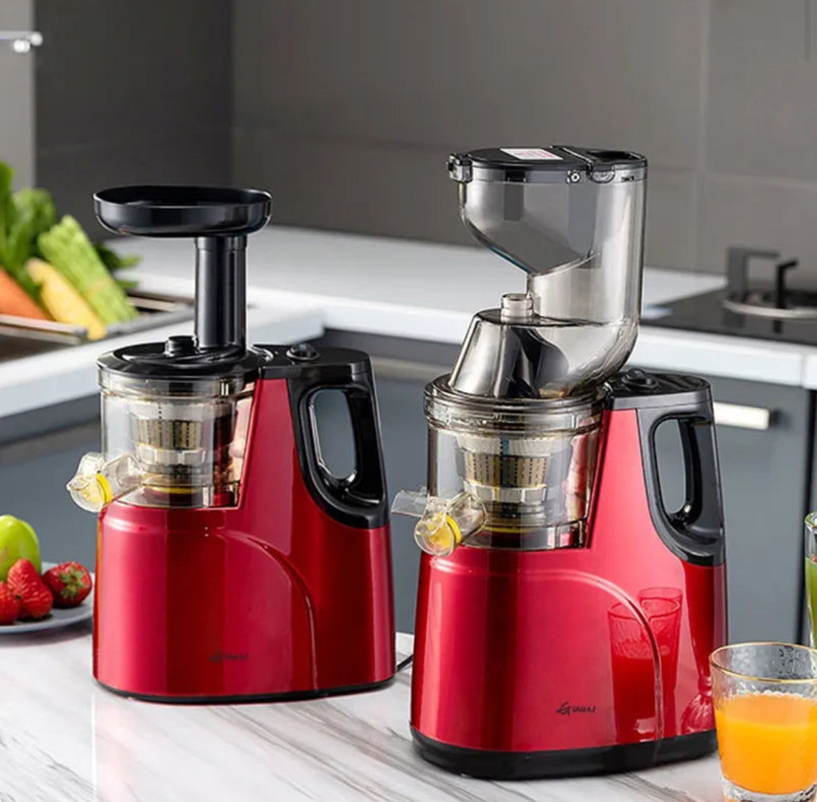 Extracteur de Jus de Fruits et Légumes