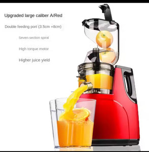 Extracteur de Jus de Fruits et Légumes